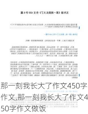 那一刻我长大了作文450字作文,那一刻我长大了作文450字作文做饭