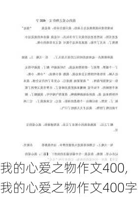 我的心爱之物作文400,我的心爱之物作文400字