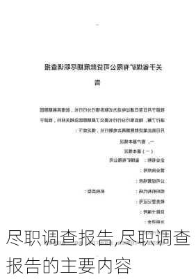 尽职调查报告,尽职调查报告的主要内容