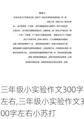 三年级小实验作文300字左右,三年级小实验作文300字左右小苏打