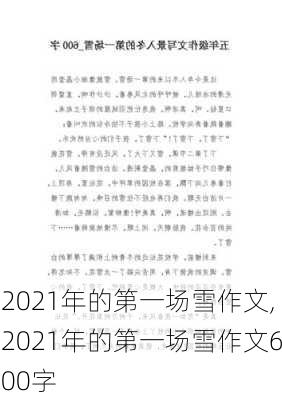 2021年的第一场雪作文,2021年的第一场雪作文600字