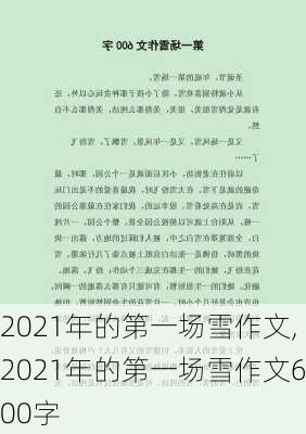 2021年的第一场雪作文,2021年的第一场雪作文600字