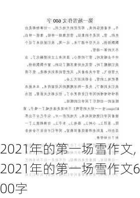 2021年的第一场雪作文,2021年的第一场雪作文600字