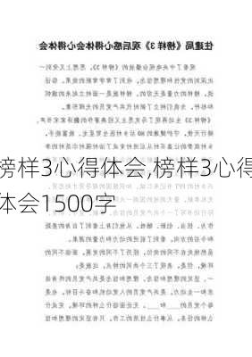 榜样3心得体会,榜样3心得体会1500字