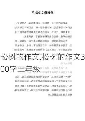 松树的作文,松树的作文300字三年级