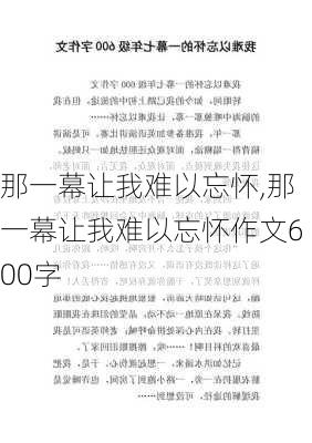 那一幕让我难以忘怀,那一幕让我难以忘怀作文600字