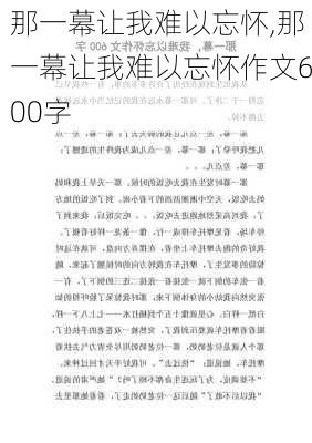 那一幕让我难以忘怀,那一幕让我难以忘怀作文600字