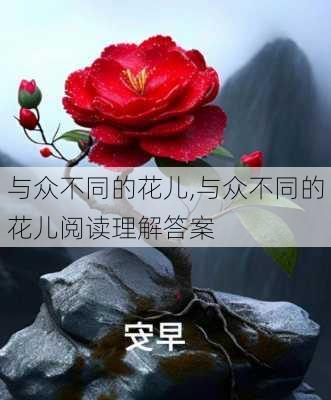 与众不同的花儿,与众不同的花儿阅读理解答案