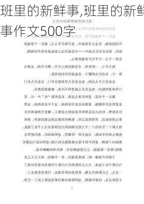 班里的新鲜事,班里的新鲜事作文500字