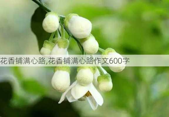 花香铺满心路,花香铺满心路作文600字