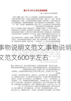 事物说明文范文,事物说明文范文600字左右