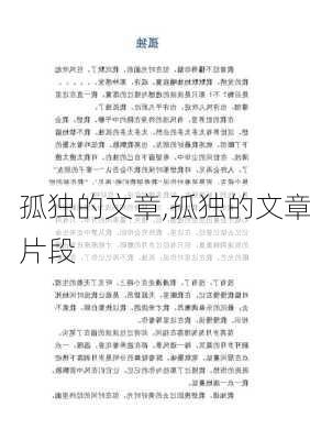 孤独的文章,孤独的文章片段