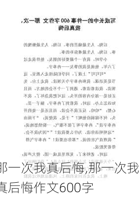 那一次我真后悔,那一次我真后悔作文600字