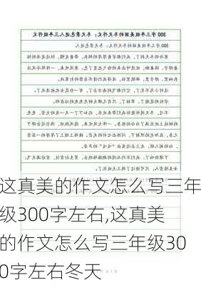 这真美的作文怎么写三年级300字左右,这真美的作文怎么写三年级300字左右冬天