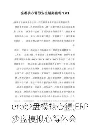 erp沙盘模拟心得,ERP沙盘模拟心得体会