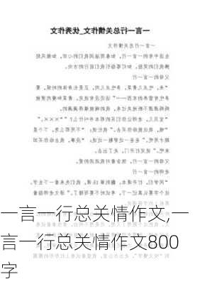 一言一行总关情作文,一言一行总关情作文800字