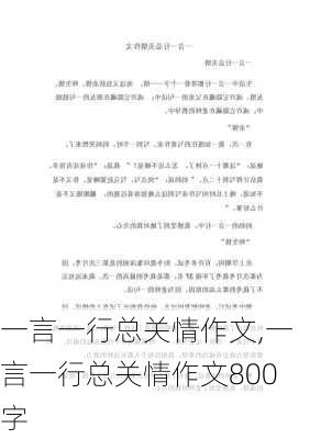 一言一行总关情作文,一言一行总关情作文800字