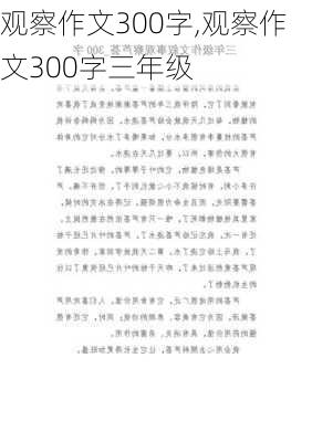 观察作文300字,观察作文300字三年级