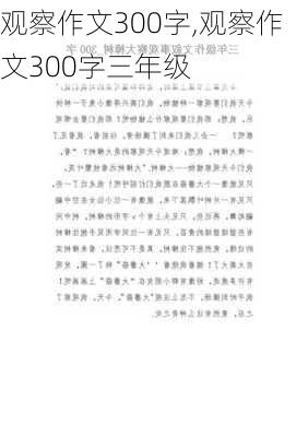 观察作文300字,观察作文300字三年级