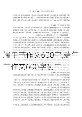 端午节作文600字,端午节作文600字初二