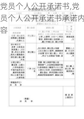 党员个人公开承诺书,党员个人公开承诺书承诺内容