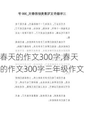 春天的作文300字,春天的作文300字三年级作文