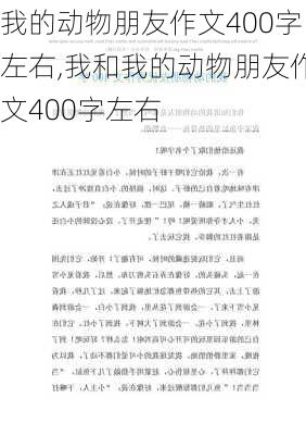 我的动物朋友作文400字左右,我和我的动物朋友作文400字左右