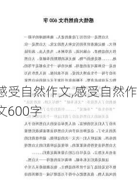 感受自然作文,感受自然作文600字