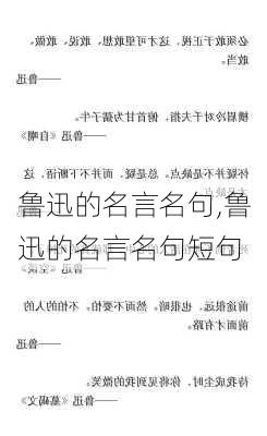 鲁迅的名言名句,鲁迅的名言名句短句