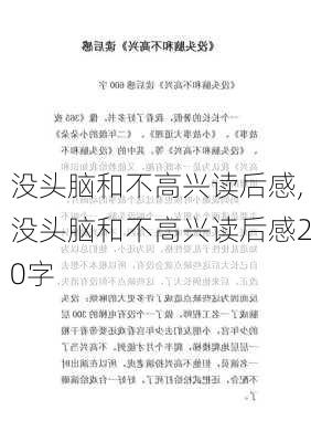 没头脑和不高兴读后感,没头脑和不高兴读后感20字