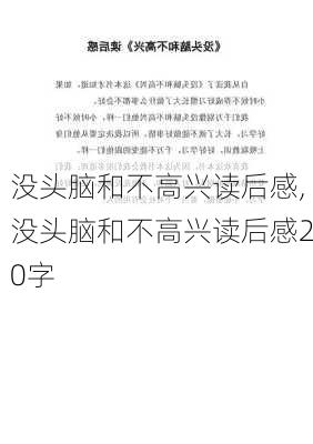 没头脑和不高兴读后感,没头脑和不高兴读后感20字