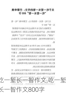 吃一堑长一智作文,吃一堑长一智作文800字