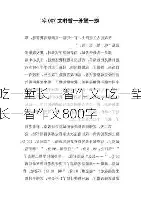 吃一堑长一智作文,吃一堑长一智作文800字