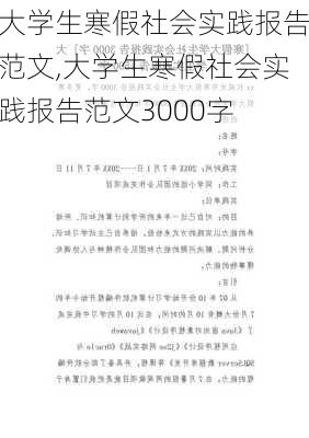 大学生寒假社会实践报告范文,大学生寒假社会实践报告范文3000字