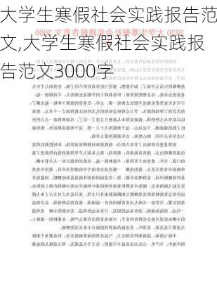 大学生寒假社会实践报告范文,大学生寒假社会实践报告范文3000字