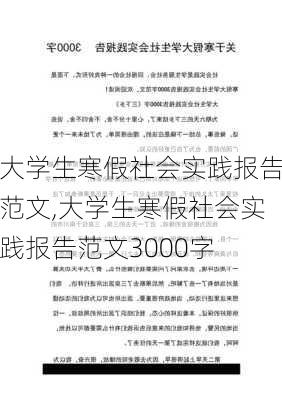 大学生寒假社会实践报告范文,大学生寒假社会实践报告范文3000字