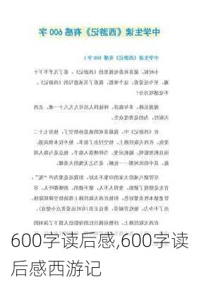 600字读后感,600字读后感西游记