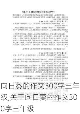 向日葵的作文300字三年级,关于向日葵的作文300字三年级