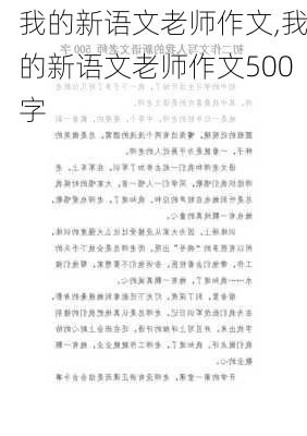 我的新语文老师作文,我的新语文老师作文500字