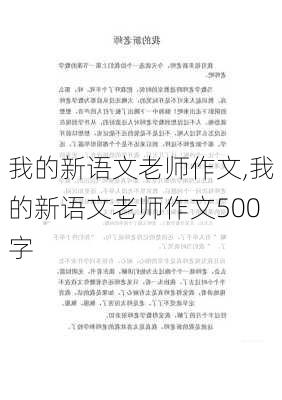 我的新语文老师作文,我的新语文老师作文500字