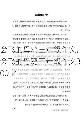 会飞的母鸡三年级作文,会飞的母鸡三年级作文300字