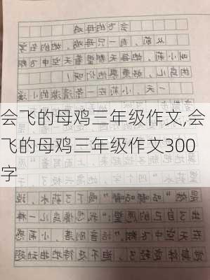 会飞的母鸡三年级作文,会飞的母鸡三年级作文300字