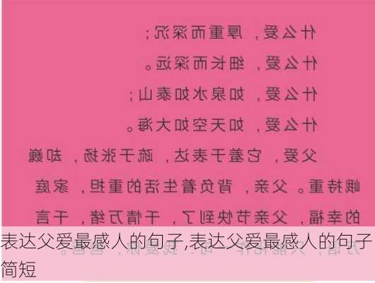 表达父爱最感人的句子,表达父爱最感人的句子简短