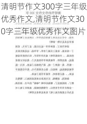 清明节作文300字三年级优秀作文,清明节作文300字三年级优秀作文图片