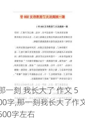 那一刻 我长大了 作文 500字,那一刻我长大了作文500字左右