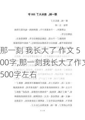 那一刻 我长大了 作文 500字,那一刻我长大了作文500字左右