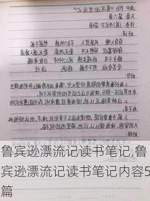 鲁宾逊漂流记读书笔记,鲁宾逊漂流记读书笔记内容5篇