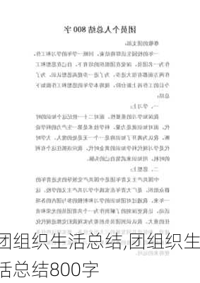 团组织生活总结,团组织生活总结800字