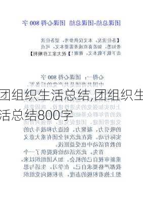 团组织生活总结,团组织生活总结800字