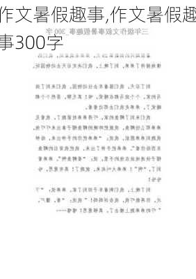 作文暑假趣事,作文暑假趣事300字